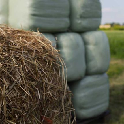 نایلون بسته بندی علوفه