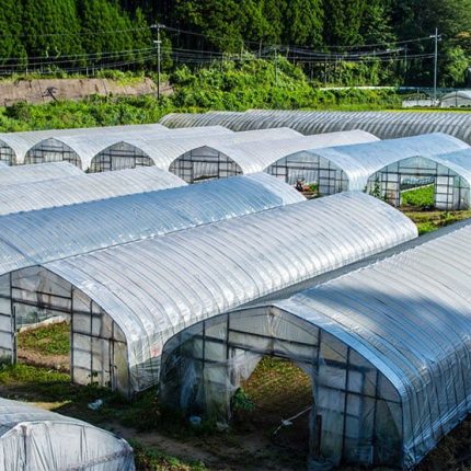 نایلون uv گلخانه